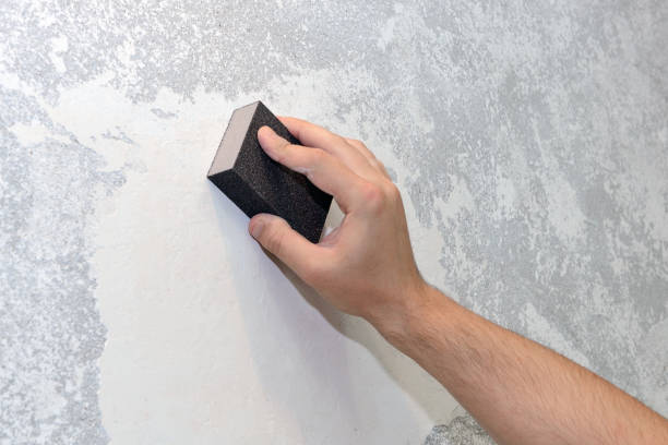 Best Industrial Mold Remediation  in South Haven, MI