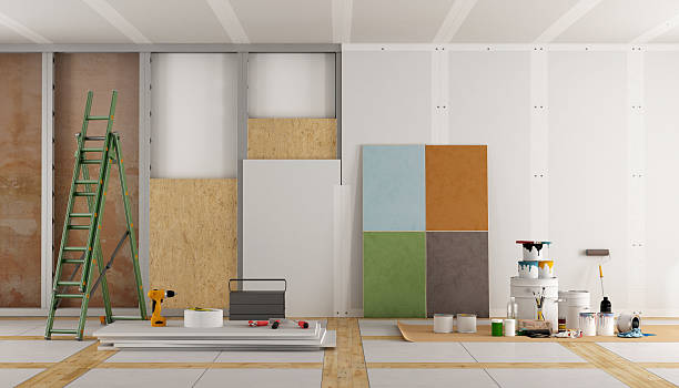 Trusted South Haven, MI Mold Removal Experts